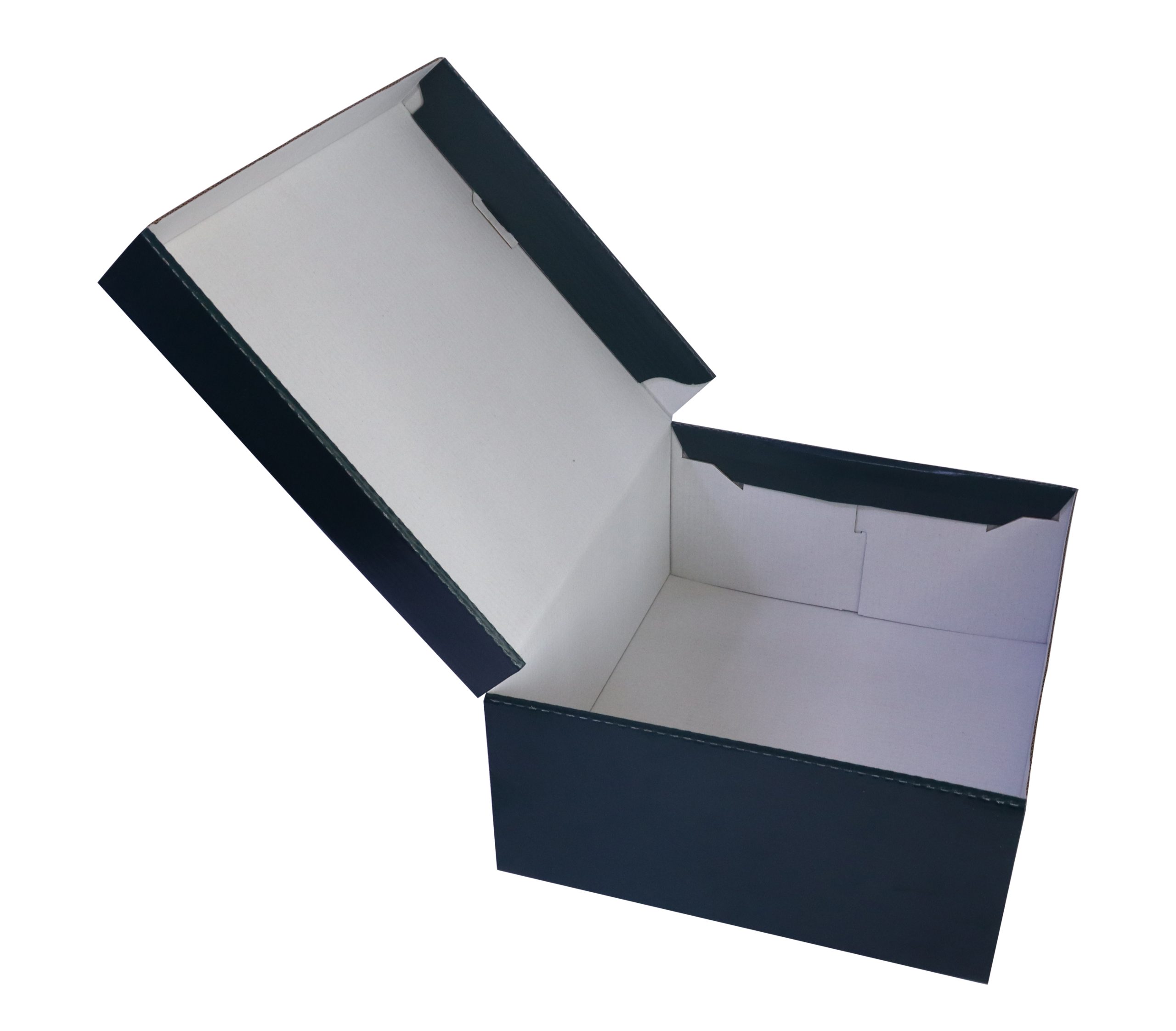 Caja grande de Zapatos (MENESSES) - Imagen 4